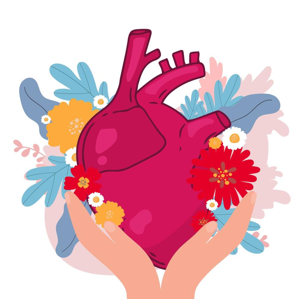 Heart vector design. Realistic anatomy pictures. Human body internal organs,
