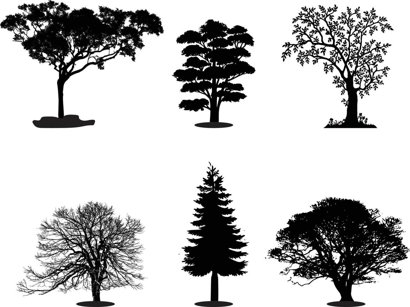 Tree silhouettes - red maple ,sugar maple, oak, poplar, green oak, birch vector