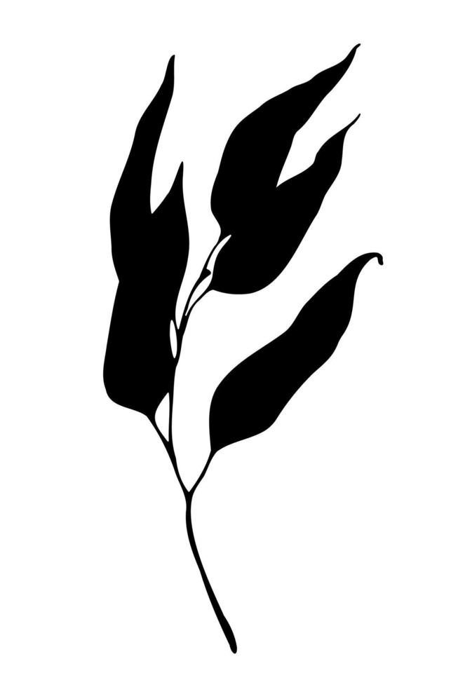 ilustración de silueta de hoja negra de eucalipto o sauce. elemento de diseño vectorial dibujado a mano. vector
