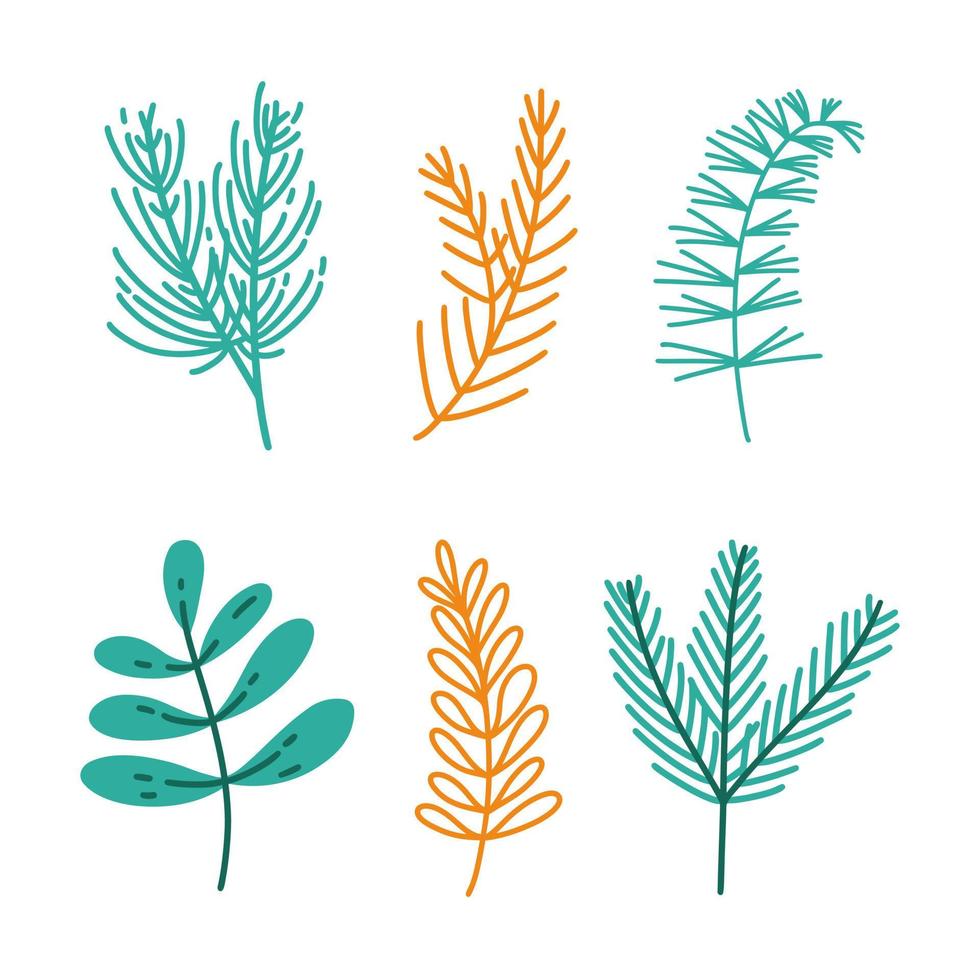 Festive winter plants vector icon set. Branches of a Christmas tree, spruce, pine, cedar, fir. Sprig of mistletoe with leaves. Green and golden coniferous trees. Simple flat clipart for cards, prints