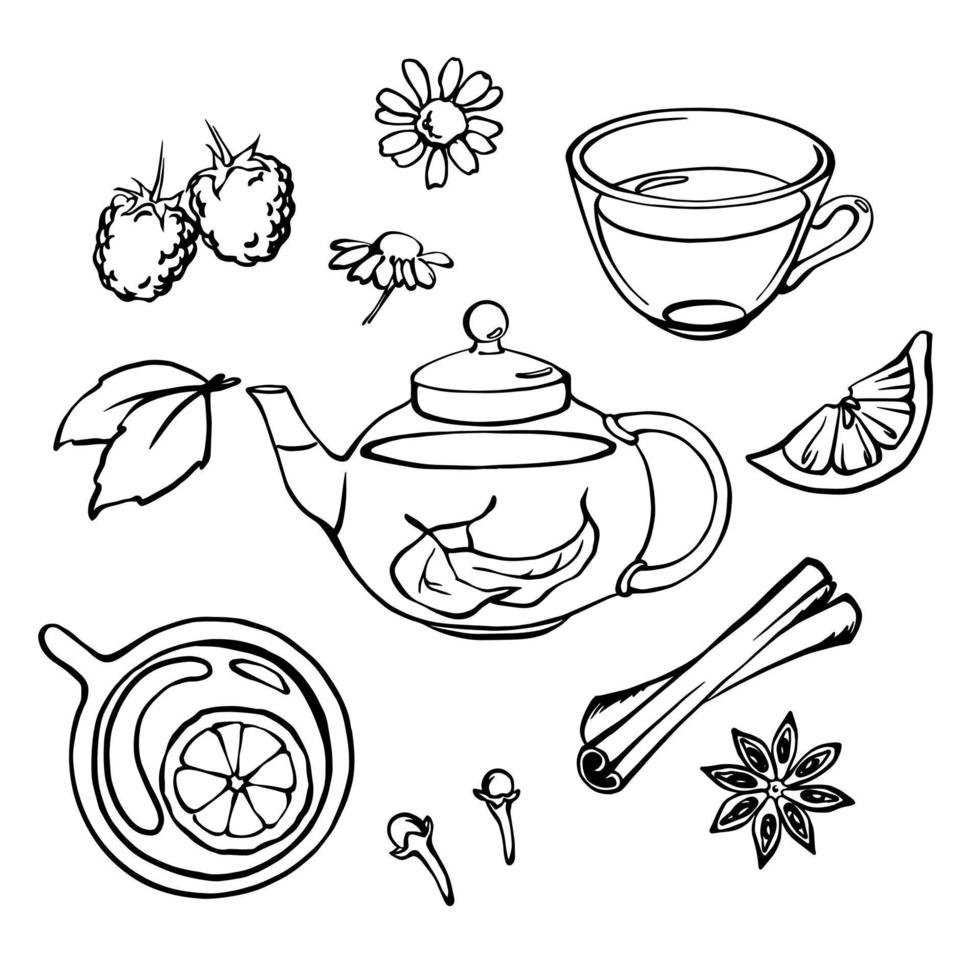 Herbal tea black and white outline doodle vector illustartion set. Transparent tea pot, tea cups, herbs, fruits and spices. Menu design elements.