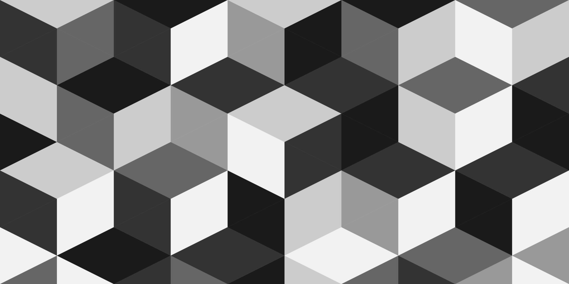 background of black and white cubes in perspective vector