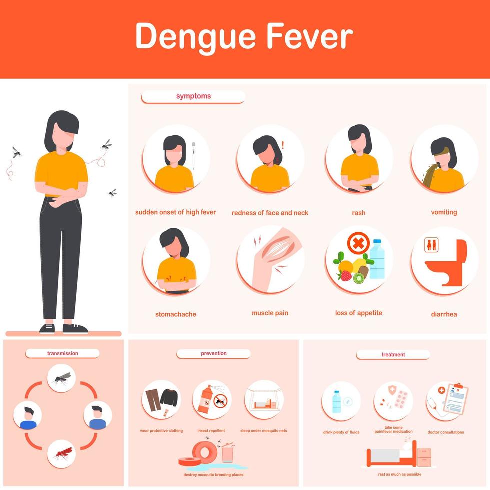 ilustración vectorial infografía síntomas de la fiebre del dengue, transmisión, prevención y tratamiento, y transmisión de la fiebre del dengue. diseño plano. vector