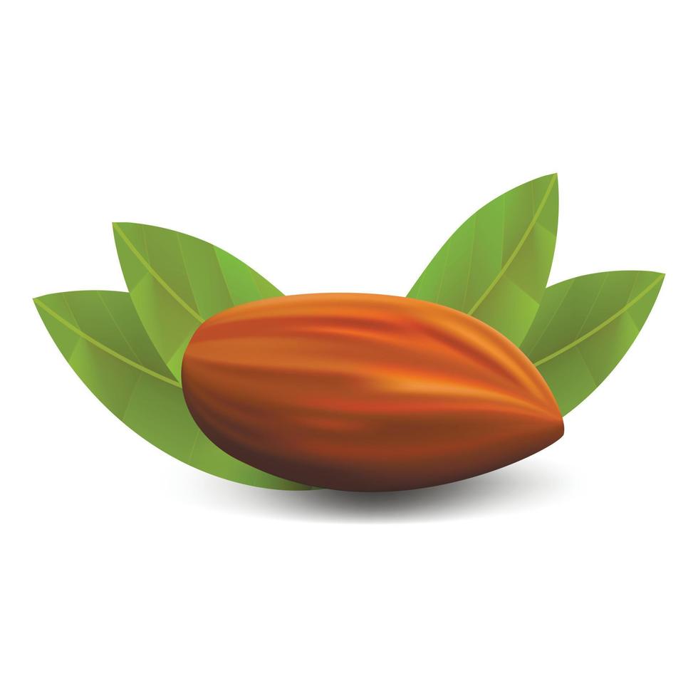 Eco almond icon, realistic style vector