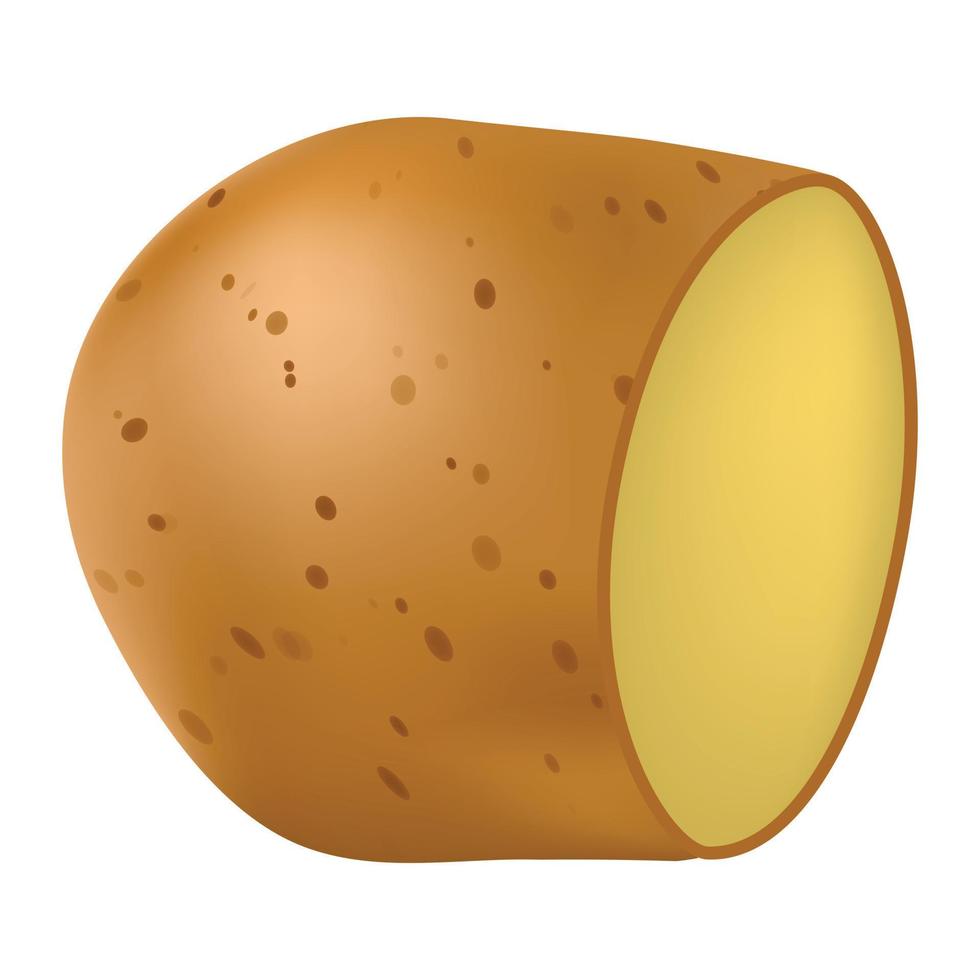 Classic clean potato icon, realistic style vector