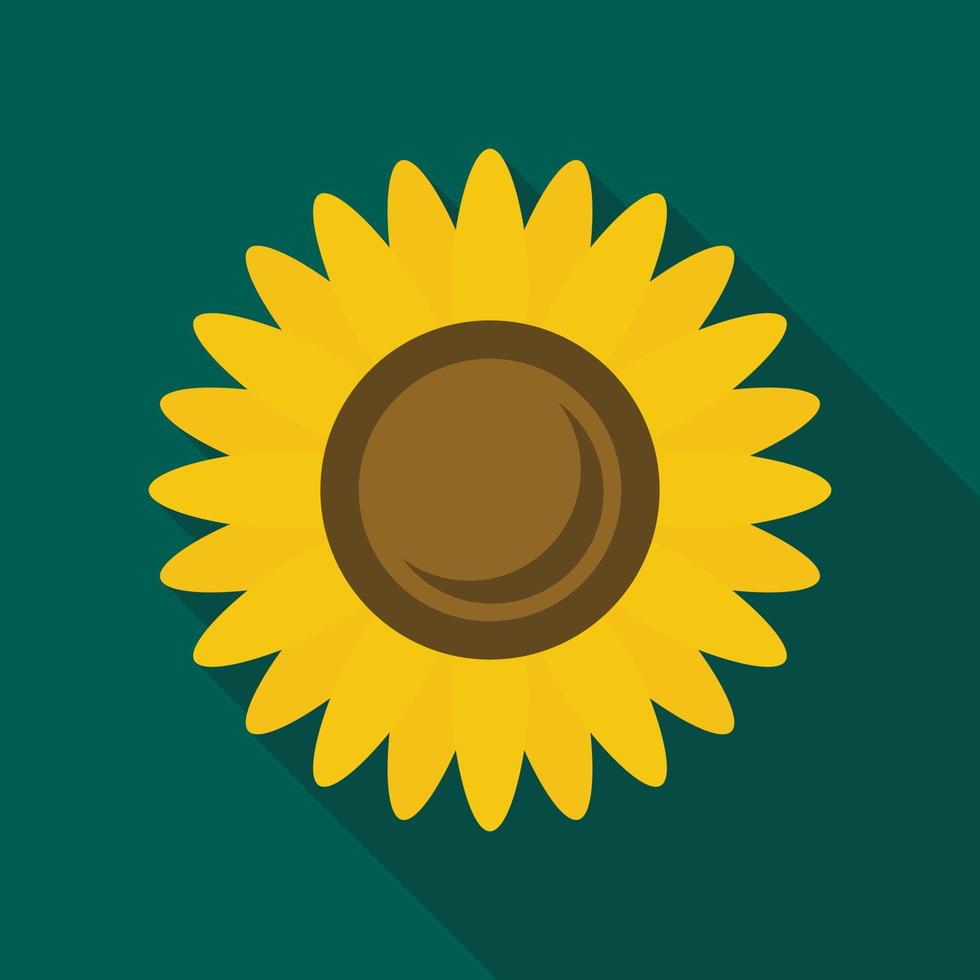 Sunflower icon, flat style vector
