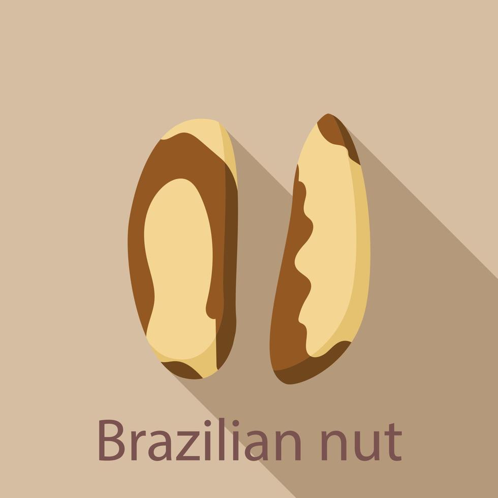 icono de nuez brasileña, estilo plano vector