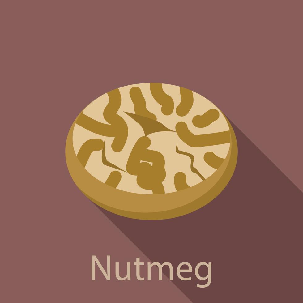 Nutmeg icon, flat style vector