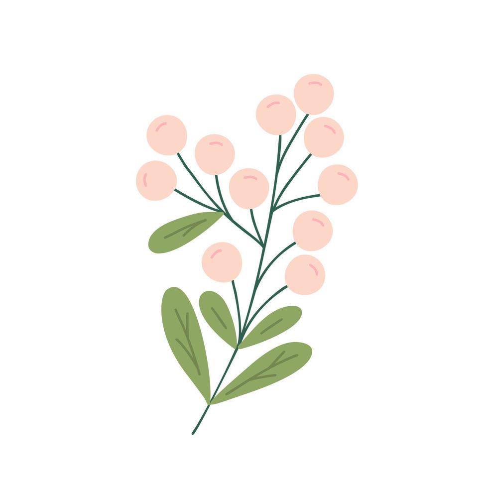 Christmas plant, decorative branche with leaves, pink berries for home decor, festive holiday arrangement vector