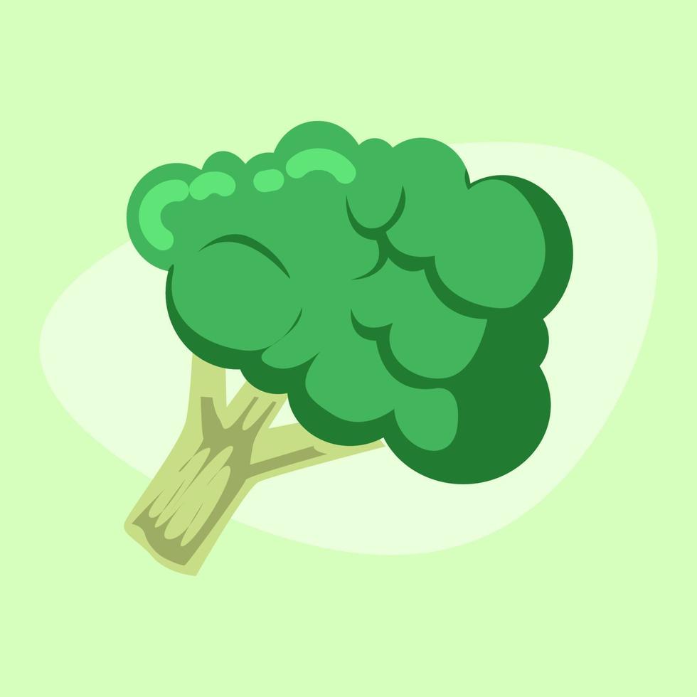 fresh broccoli illustration vegetable element with abstract green background vector