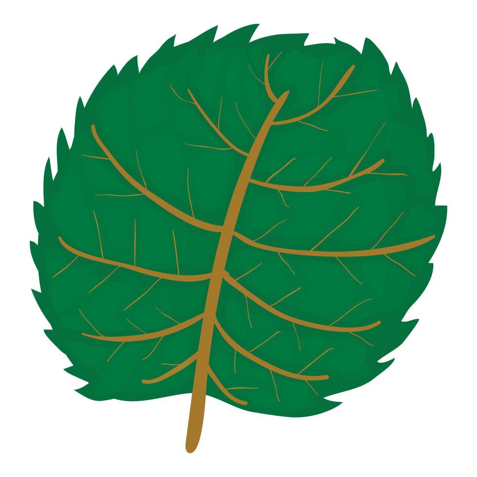 Linden leaf icon, cartoon style vector