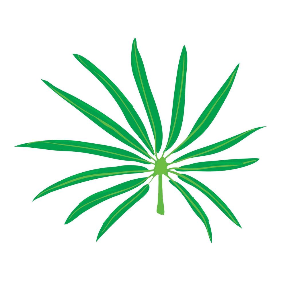 Paml leaf icon, cartoon style vector