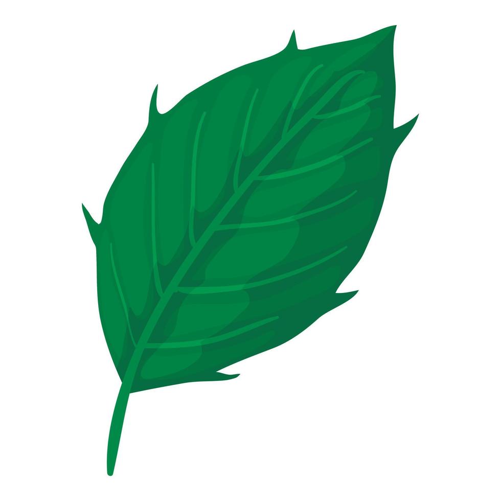 Thistle leaf icon, cartoon style vector