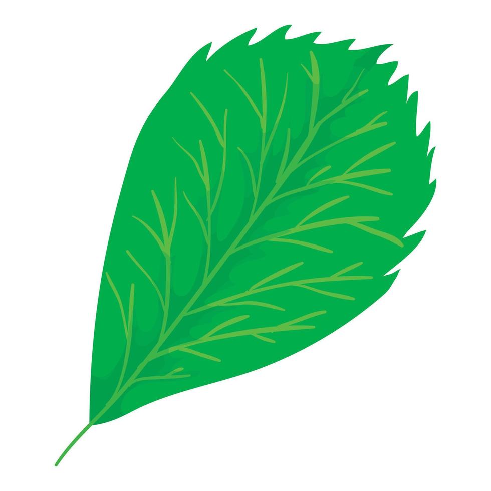 Elm leaf icon, cartoon style vector