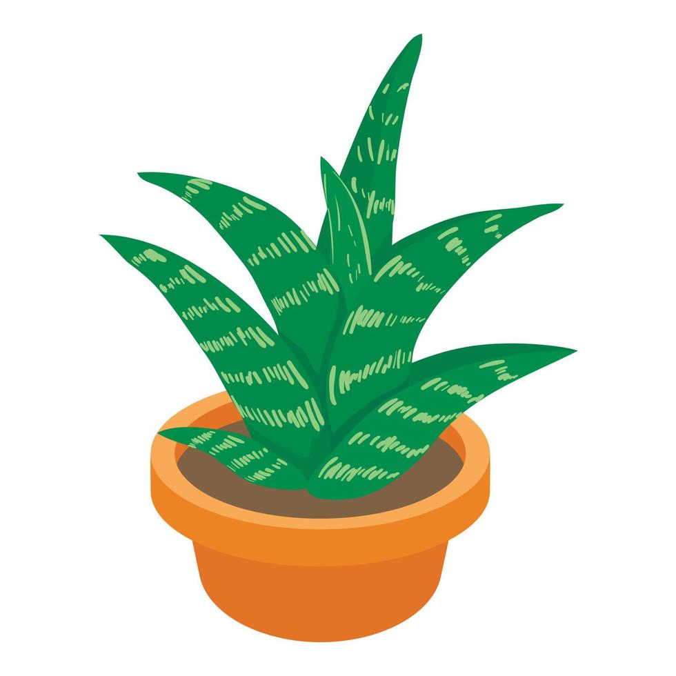 Aloe icon, cartoon style vector