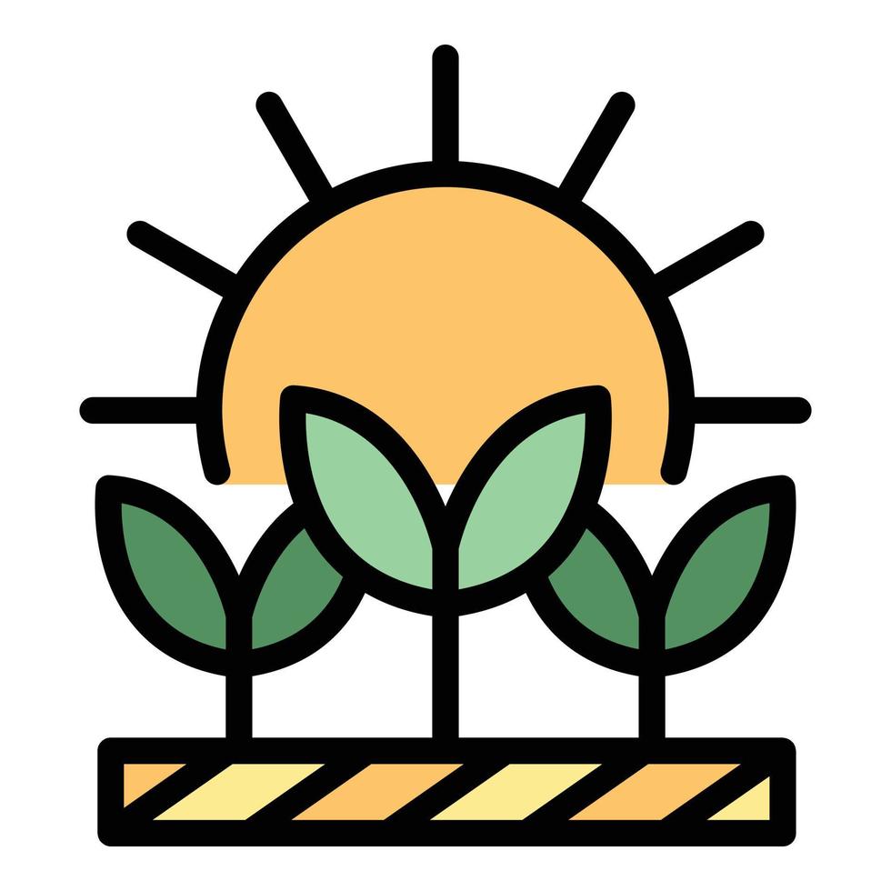 plantas bajo el sol icono color contorno vector