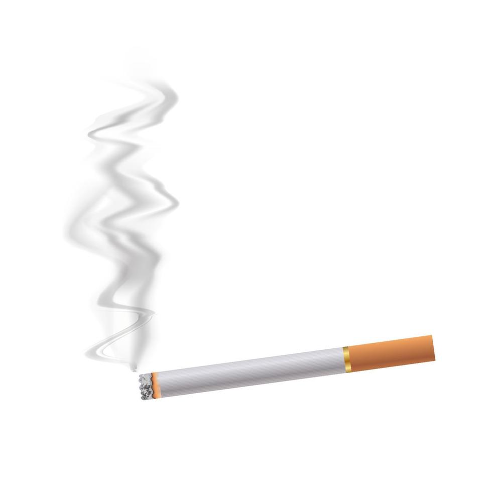 realistic cigarette with ash, orange filter, stages of burns isolated on white background vector