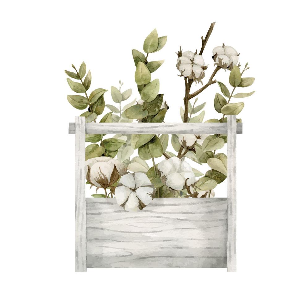 Wooden box with dried white Cotton Flowers and green Eucalyptus in vintage style. Hand painted botanical illustration on isolated background for greeting cards or wedding invitations. Floral sketch. vector