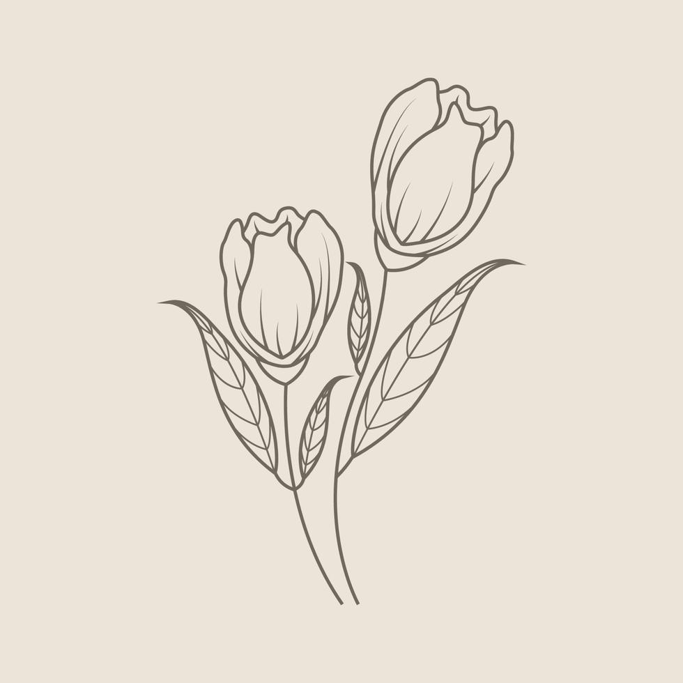 elementos de diseño florales dibujados a mano vector