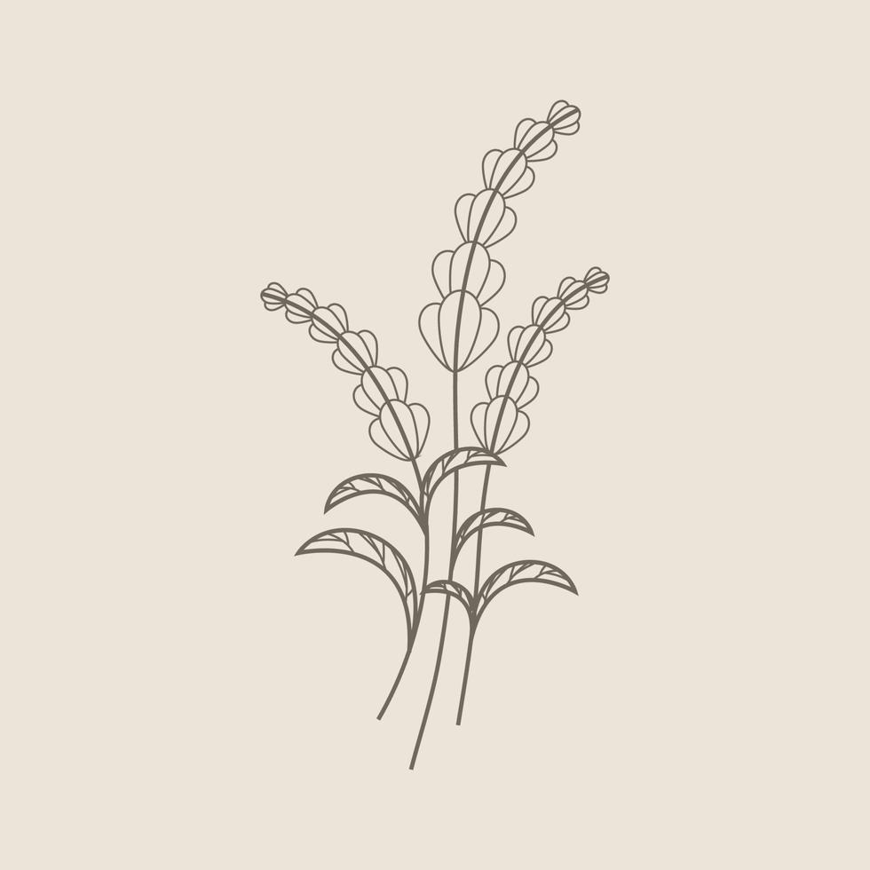 Floral Hand Drawn Design Elements vector