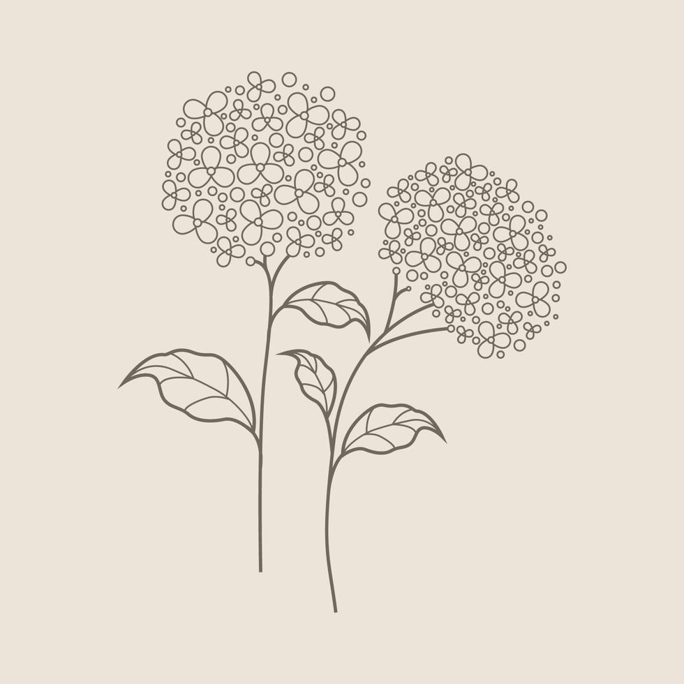 Floral Hand Drawn Design Elements vector