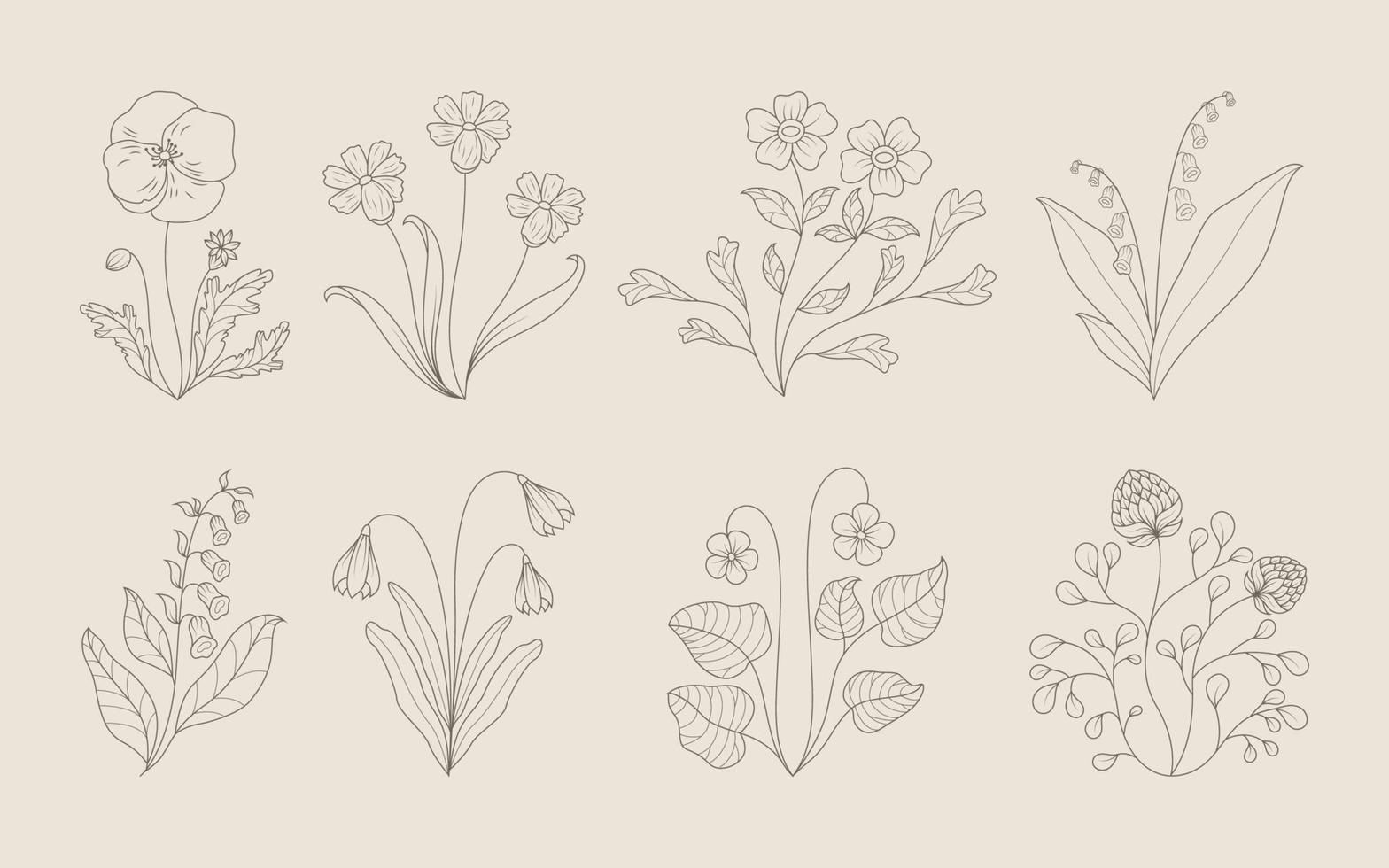 Hand Draw Floral Decoration Elements vector