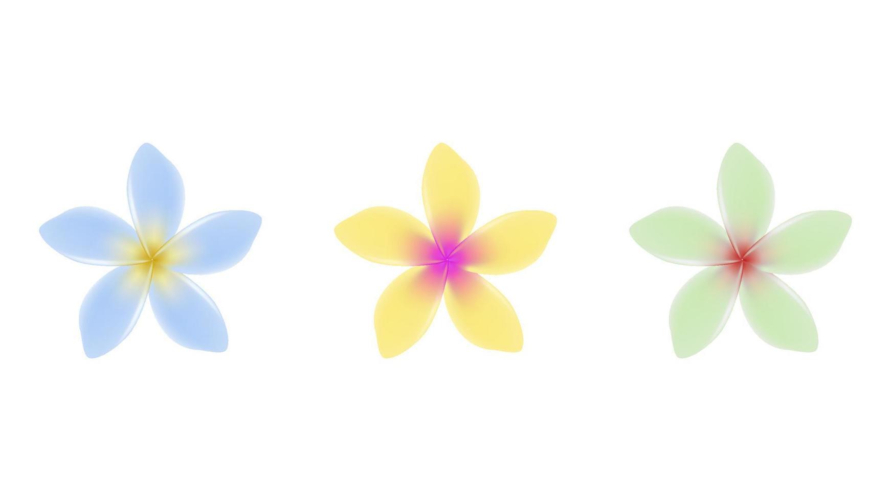 objetos vectoriales de flores de jazmín en varios colores. vector