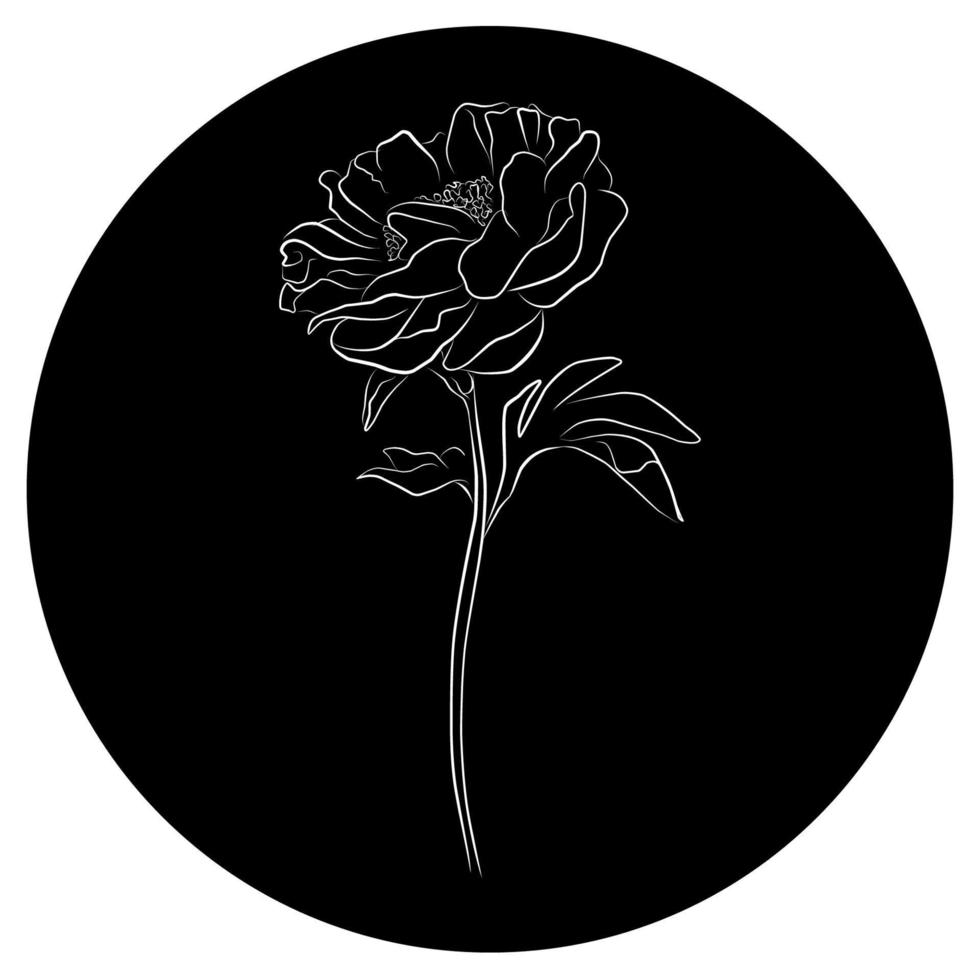 Drawing of a peony with a white line on a black background of rounded shape, logo, icon. Elegant flower line, vector art illustration.