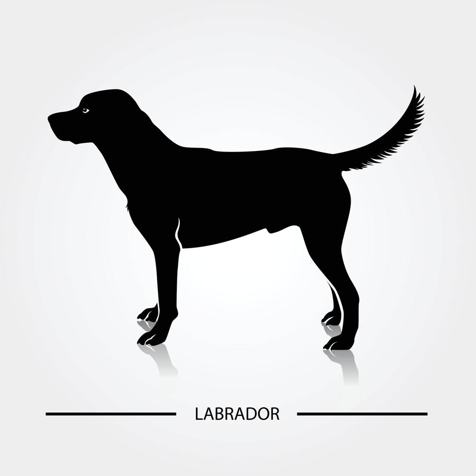 Labrador dog silhouette vector illustration.