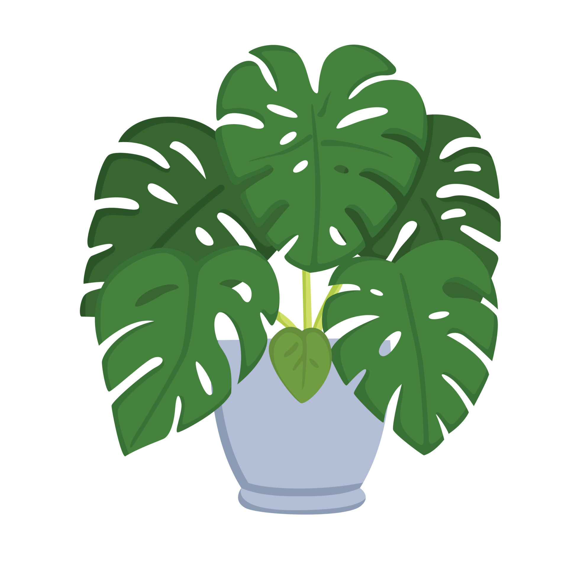 home-plant-monstera-illustration-vector-clipart-15397590-vector-art-at