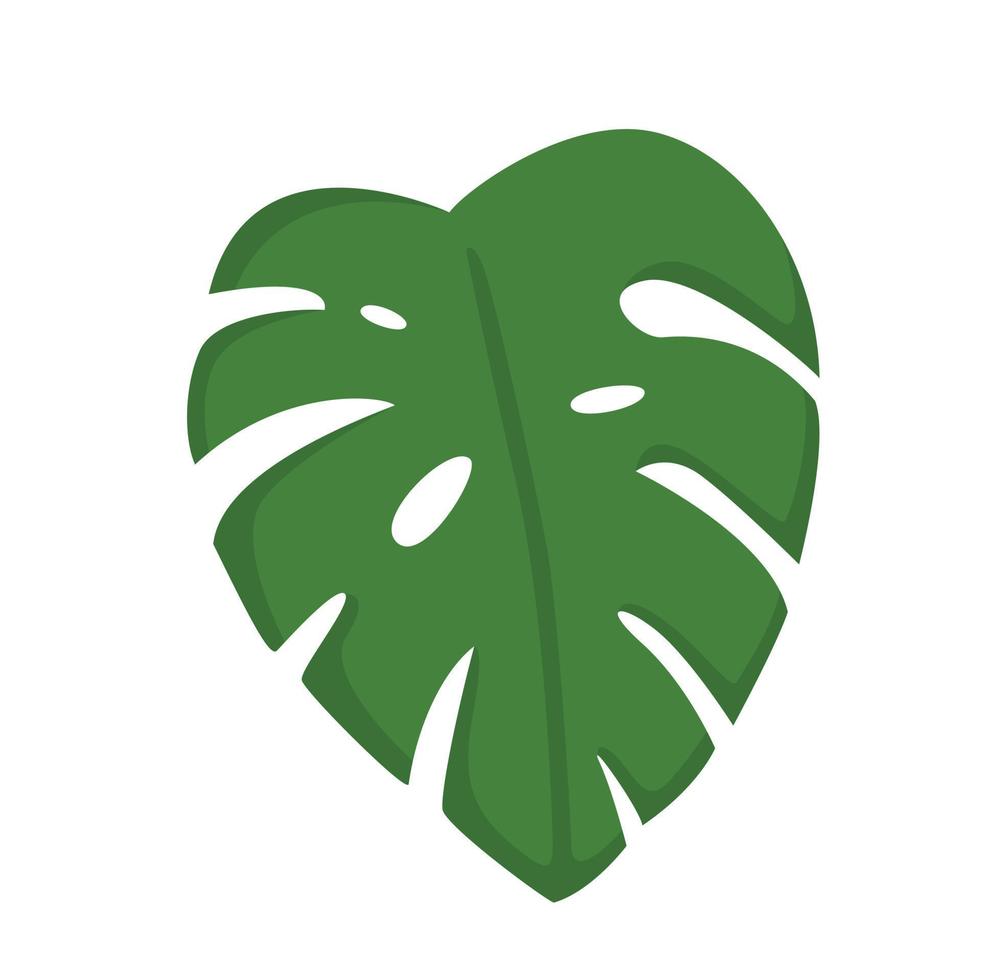 casa planta monstera ilustración vector clipart