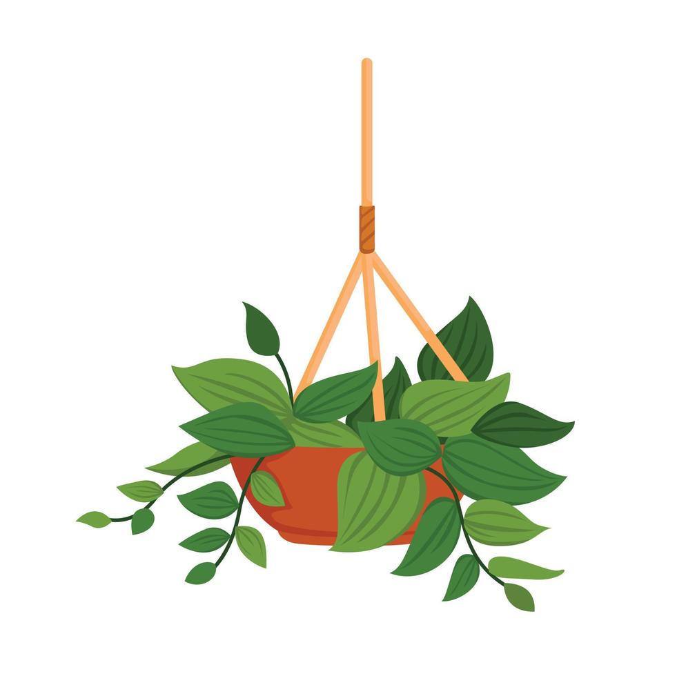 casa planta pothos ilustración vector clipart