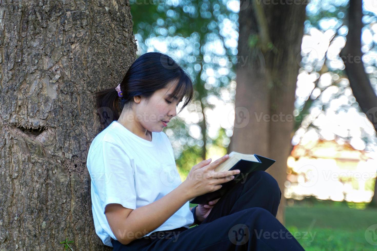 mujer asiática sentada con la espalda contra un árbol leyendo un libro. concepto. mujer asiática haciendo actividades al aire libre, como leer libros, trabajar, hacer un picnic con la familia. enfoque suave y selectivo foto