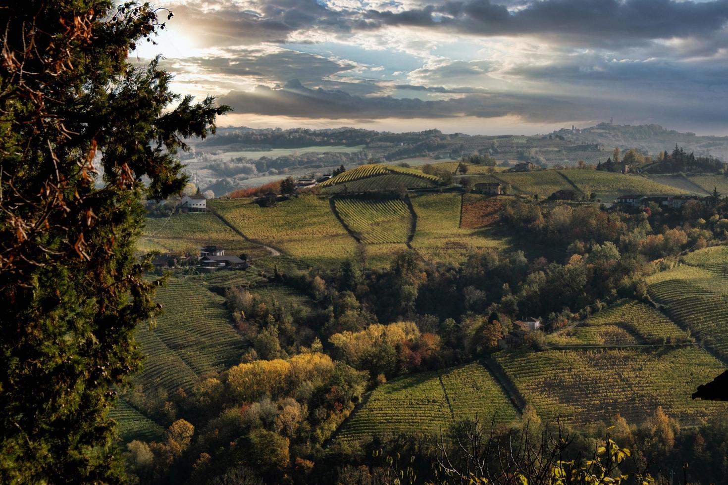 paisajes otoñales en el langhe piamontés cerca de serralunga d'alba, con los colores brillantes del otoño piamontés foto