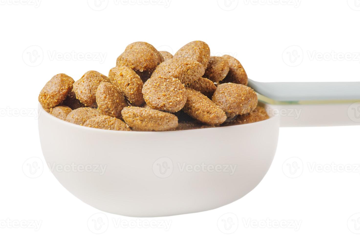 Dry food in a spoon isolated on white. Balanced nutrition for animals. photo