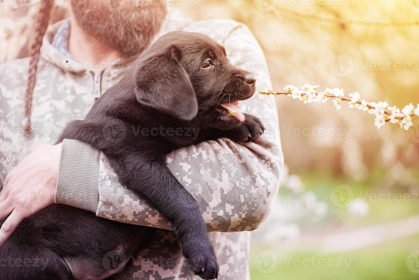 A small black Labrador retriever puppy. A dog in the arms of a bearded man. photo