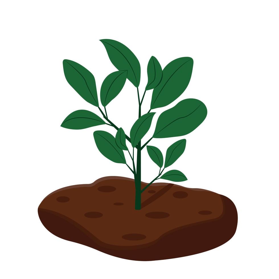 World Soil Day is held annually on December 5. Green plant. Forest restoration, reforestation planting trees, environment day.Flat vector illustration