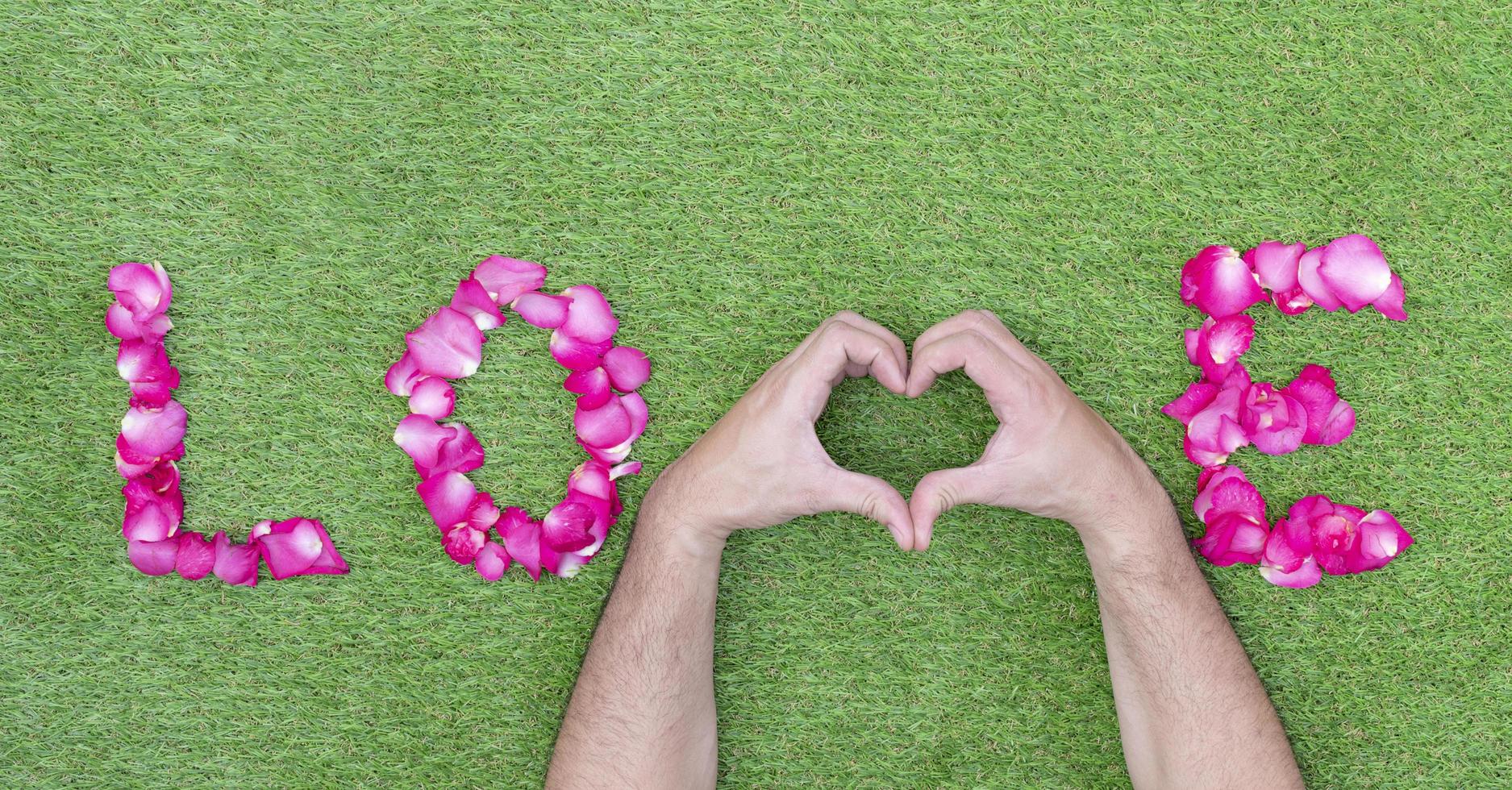 Top view rose petals in a row of love with hand heart. Valentine day concept photo