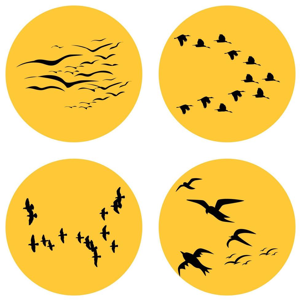 Flock of birds vector