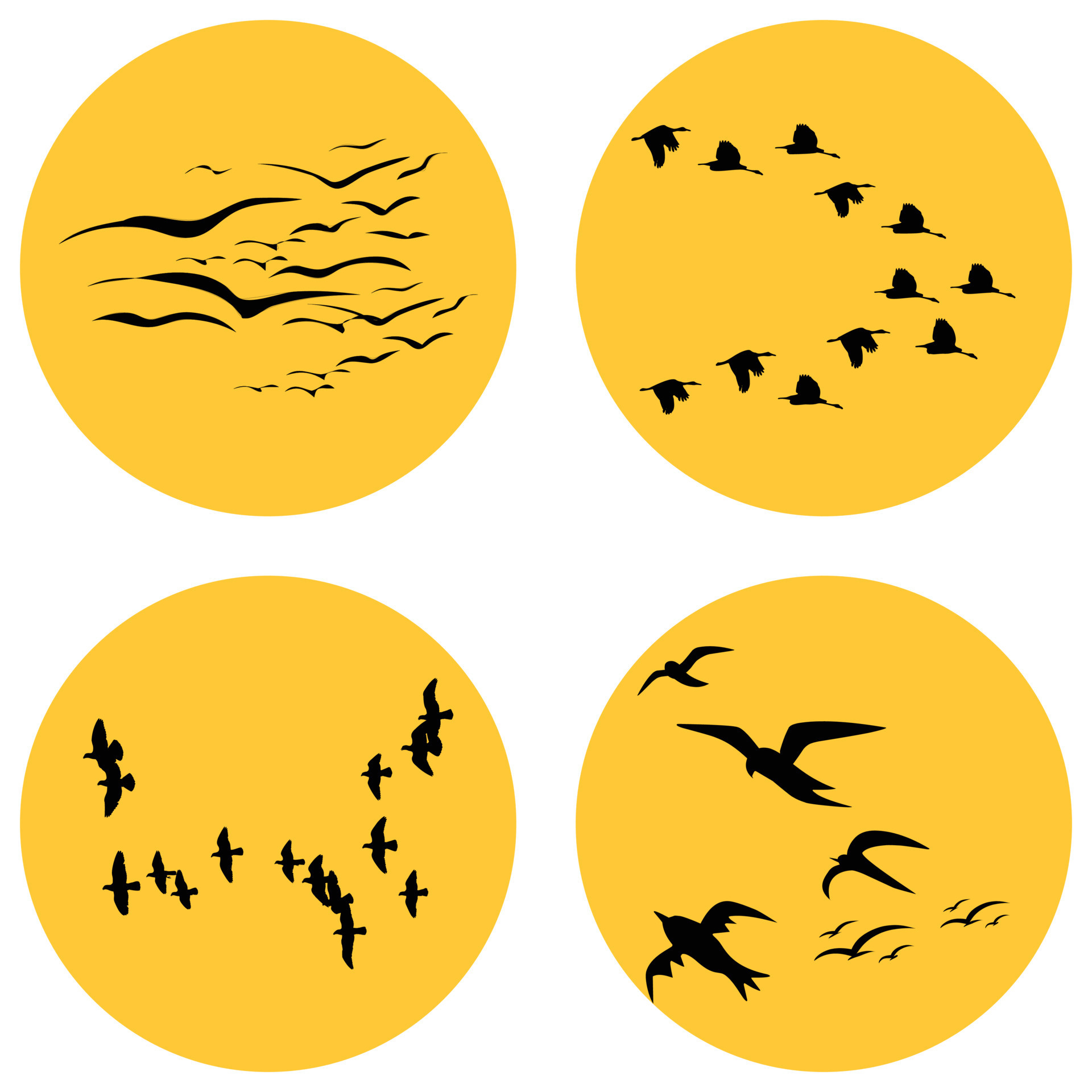 Flock of birds 15400238 Vector Art at Vecteezy
