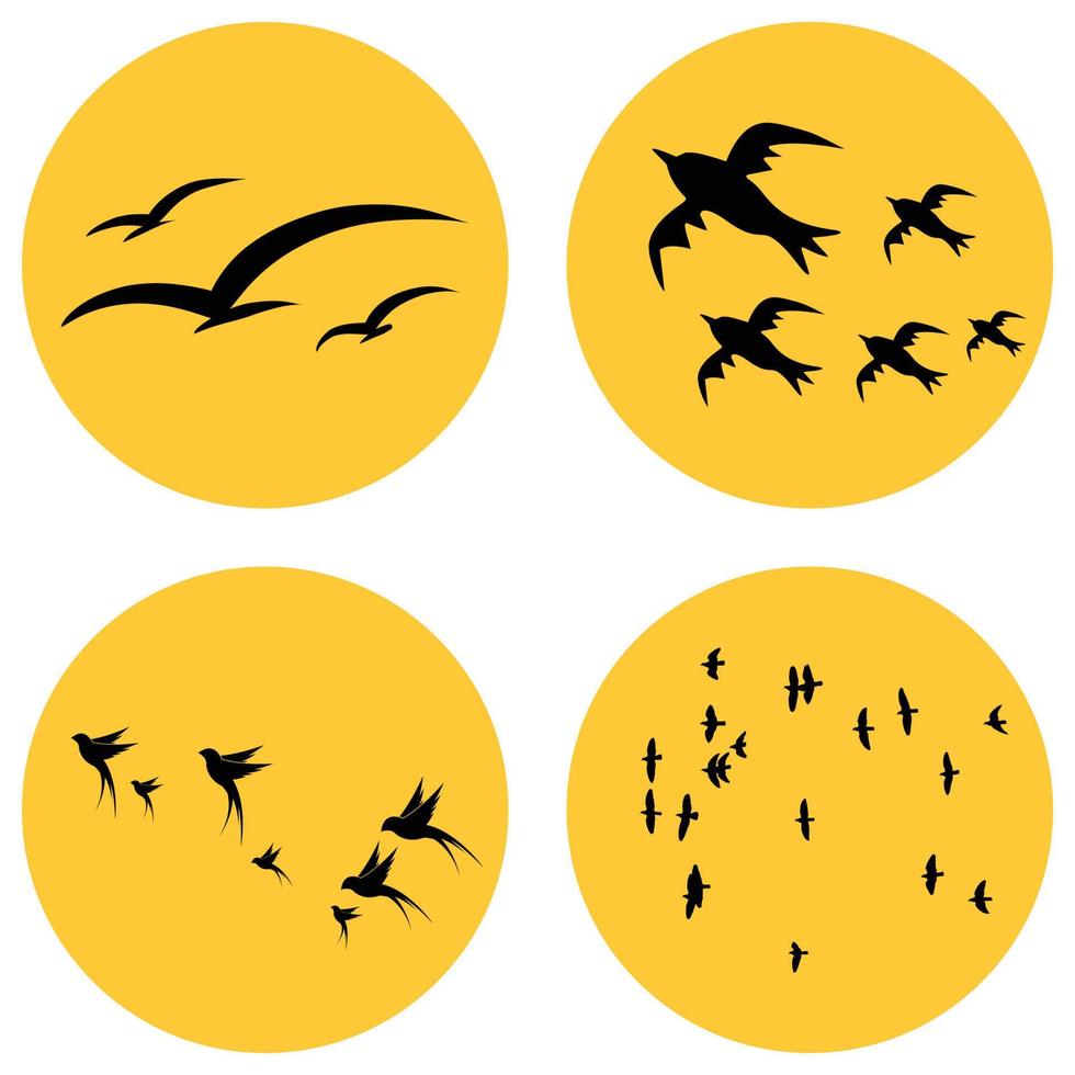 Flock of birds vector