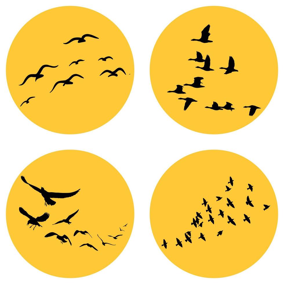 Flock of birds vector