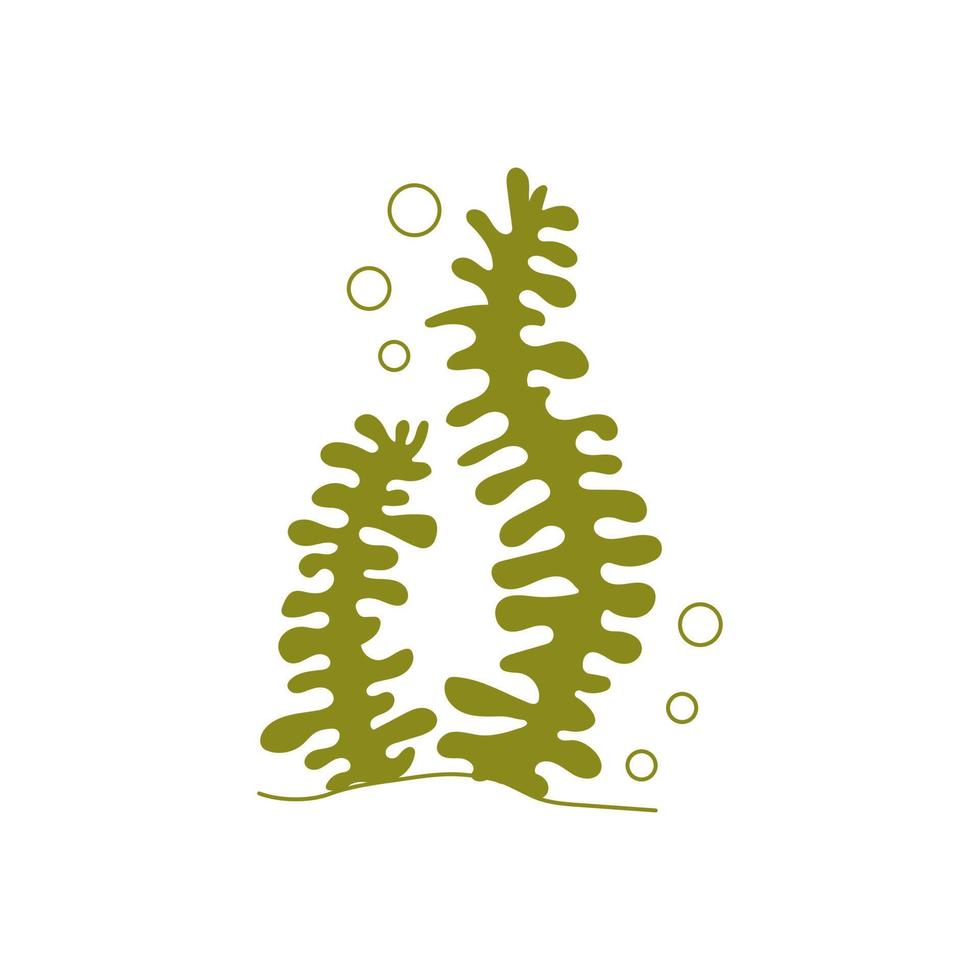 Seaweed, green algae. Aquarium plants. Wildlife. Underwater marine flora. Element of aquarium landscape. Water theme for decoration and design. Vector illustration isolated on white background