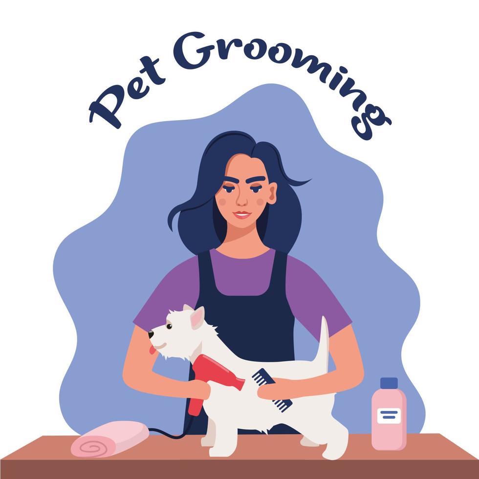 Women hairdresser grooming a dog in pet groom saloon. Woman with hair dryer and comb in her hands dries the dog's fur. Pet grooming salon. Vector illustration.