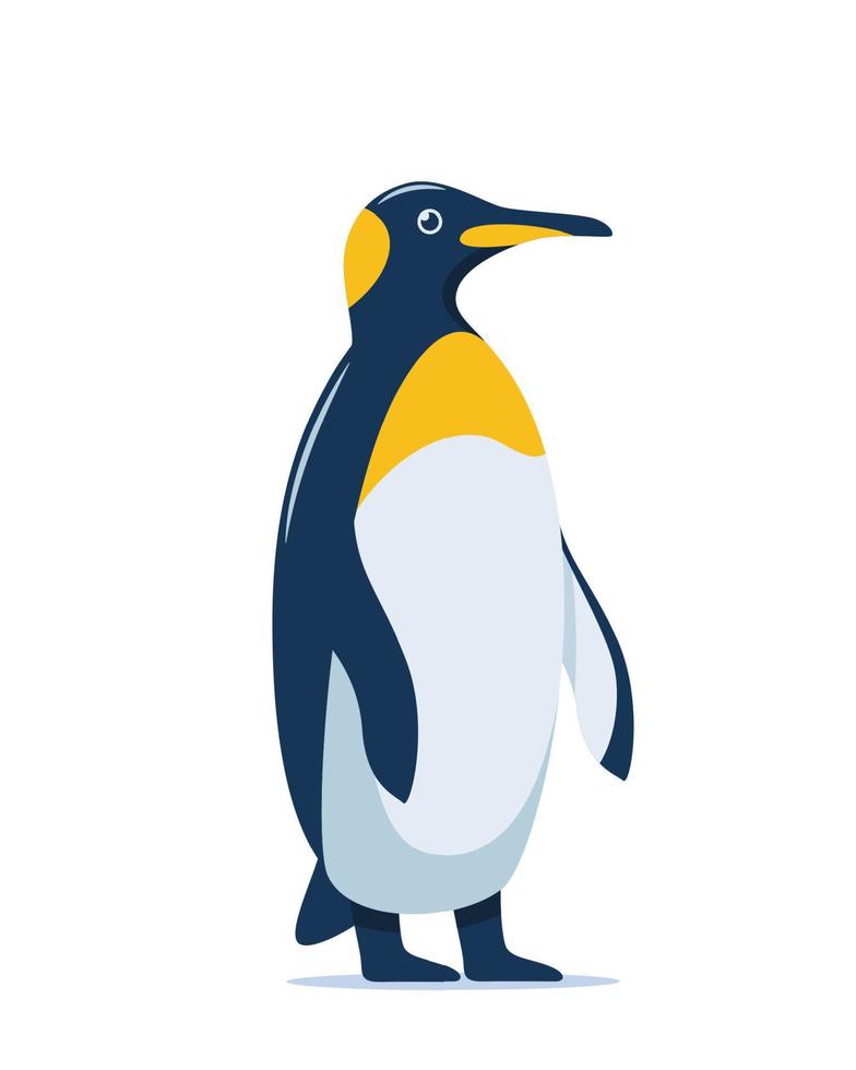 Cute penguin stands in full height, vector illustration on white background.