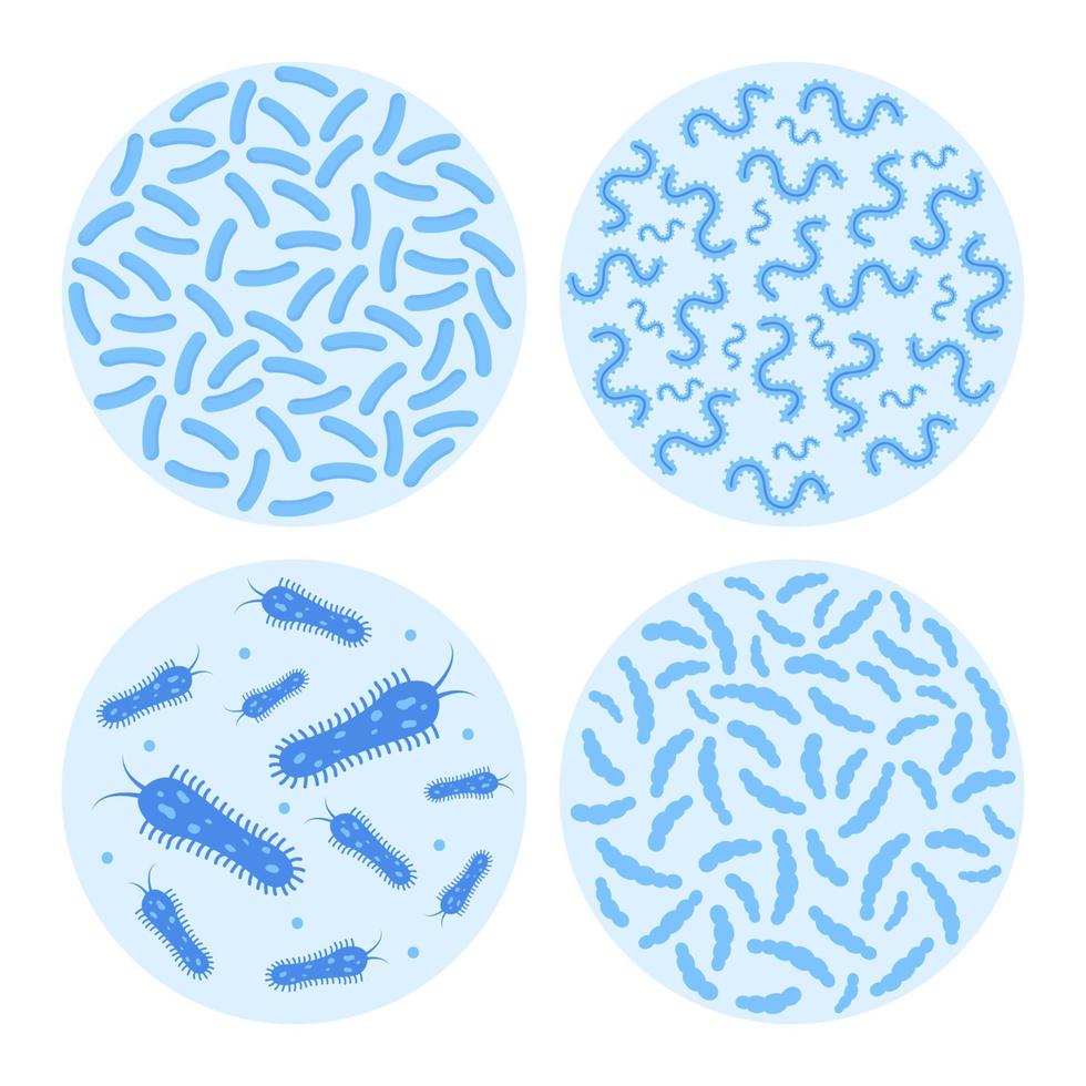 Bacterial flora in circle set. Different bacteria, pathogenic microorganisms and normal bacterial flora of humans. Vector illustration.