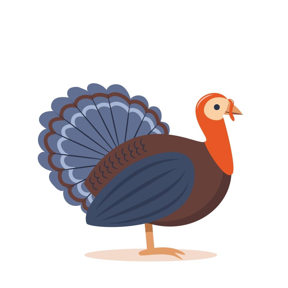 Turkey, bird. Concept design of farm animals - Turkey side view profile. Isolated turkey on white background, Vector Illustration.