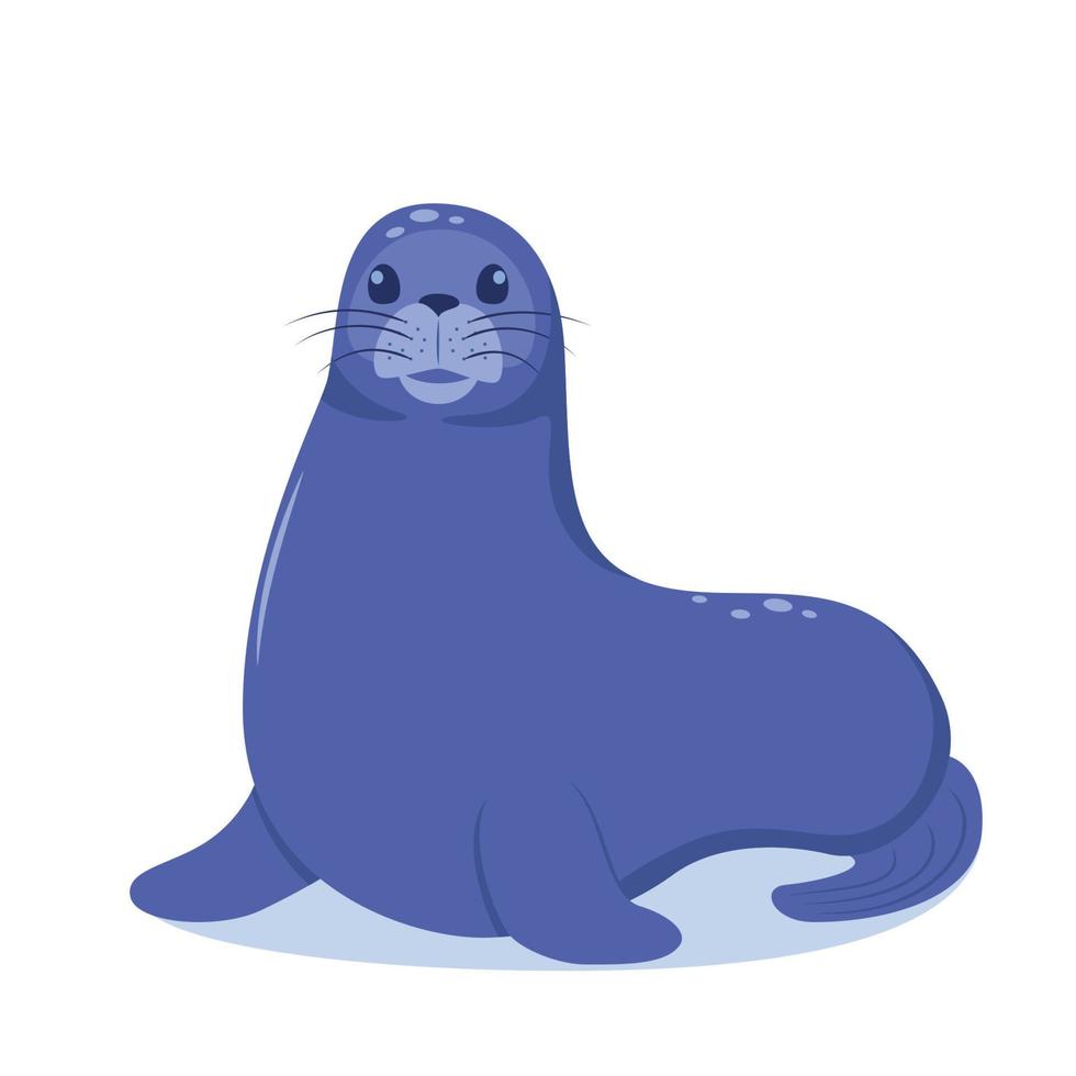 Seal animal cute cartoon character isolated on white background. Vector illustration.