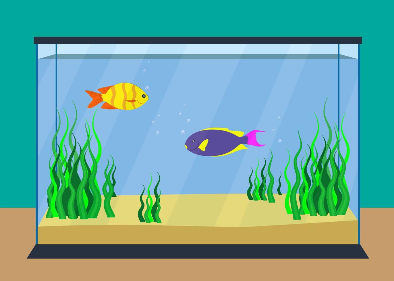 Colorful exotic fishes in a fishbowl with seaweed and sand on the bottom. Vector illustration, flat.