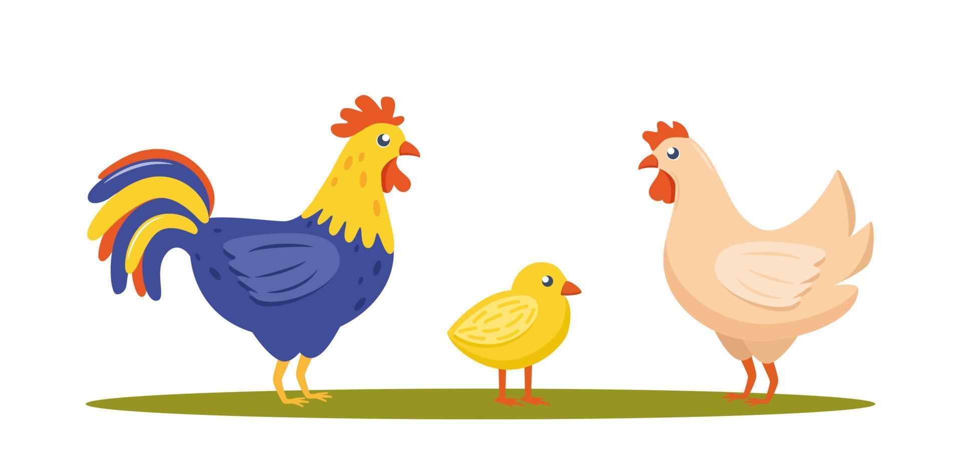 familia de aves de granja. pollo, gallo, pollito aislado sobre fondo blanco. ilustración vectorial vector